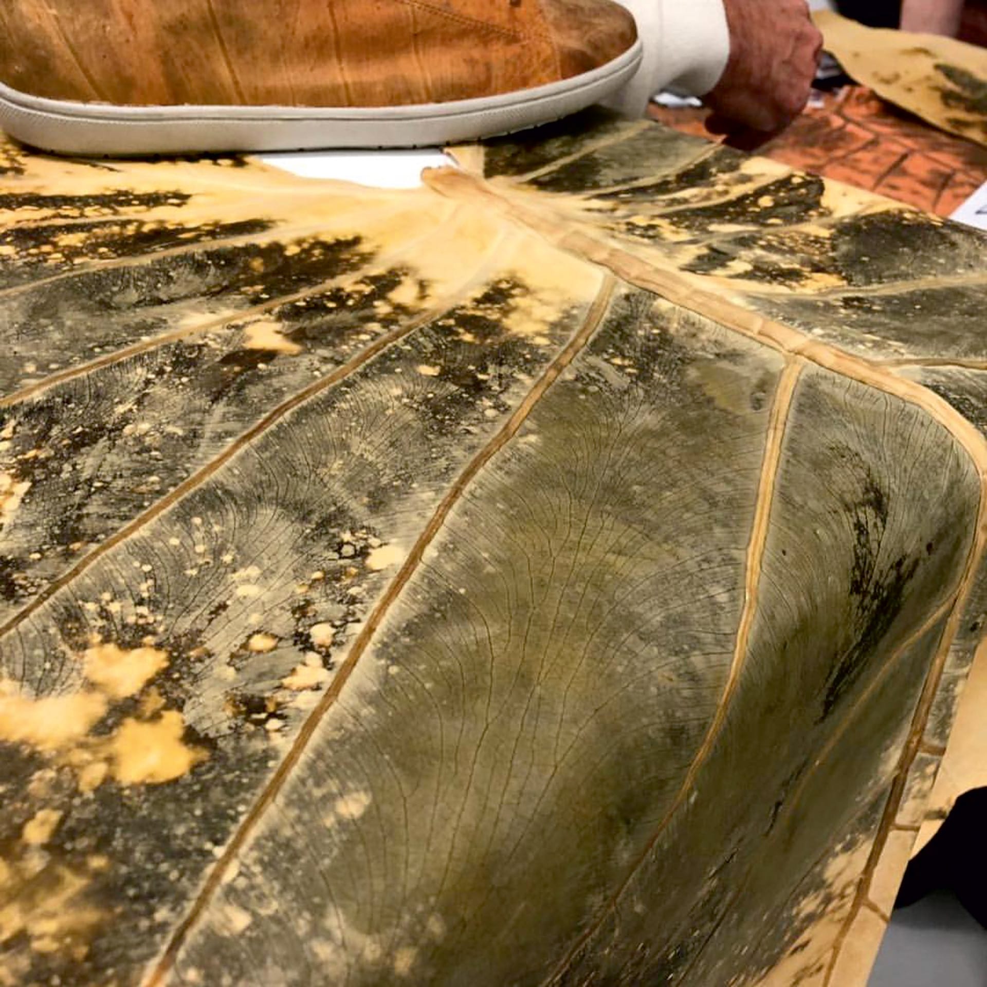 Veganes Leder aus Blättern